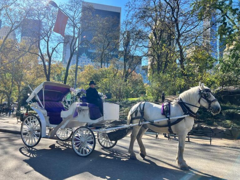 Royal Carriage Ride in Central Park NYC