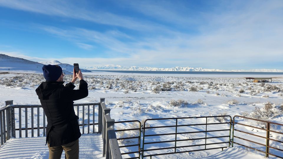 Salt Lake City: Great Salt Lake Antelope Island Guided Tour - Tour Location and Provider Details