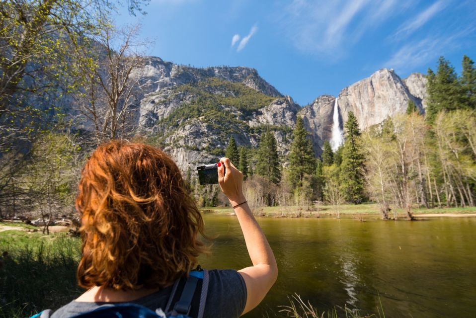 San Francisco To/From Yosemite National Park: 1-Way Transfer - Tour Details