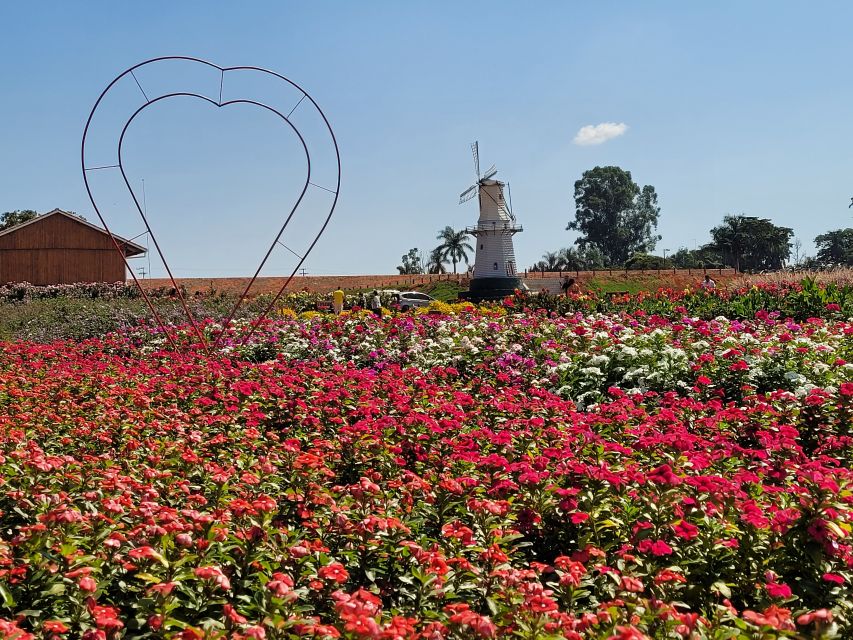 São Paulo: Holambra Colorful Flower Farm Guided Day Trip