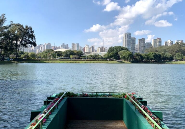 São Paulo, Ibirapuera Park Scavenger Hunt Self-Guided Tour