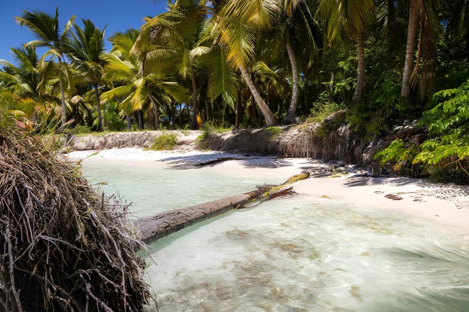 Saona Island Private: Speedboat Tour From Punta Cana