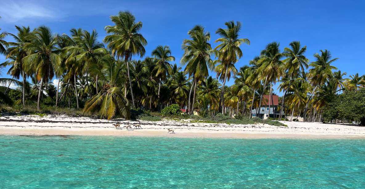 Saona Island: Small Group Virgin Beaches Cruise Day Trip