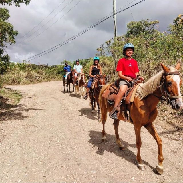 Scenic Horseback Trail - Pricing and Duration