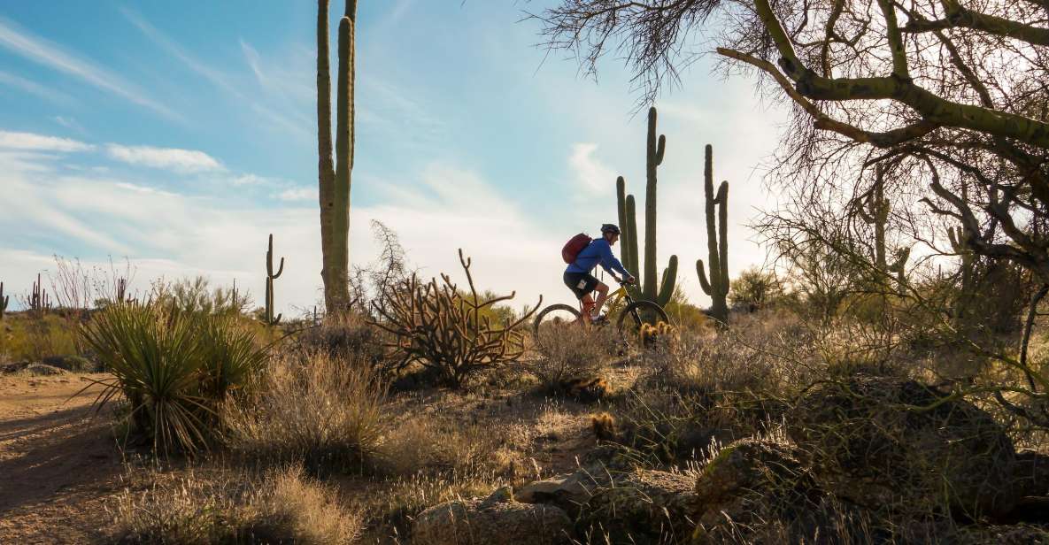 Scottsdale: Half-Day Sonoran Desert Mountain Bike Tour - Tour Details