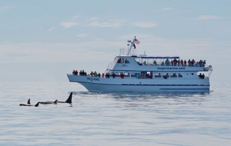 Seward: Resurrection Bay and the Kenai Fjords Orca Cruise