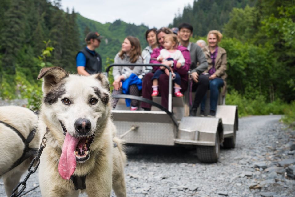 Seward: Summer Dog Sled Ride and Seavey Estate Tour - Pricing and Duration