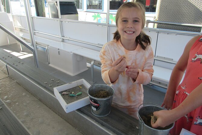 Shark Teeth and Shells, Dolphin and Shelling Tour Boat Clearwater Beach - Beachfront Beauty