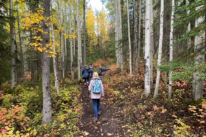 Small-Group Day Hike, Rivers and Forests of Chugach State Park  - Anchorage - Guide Expertise and Recognition