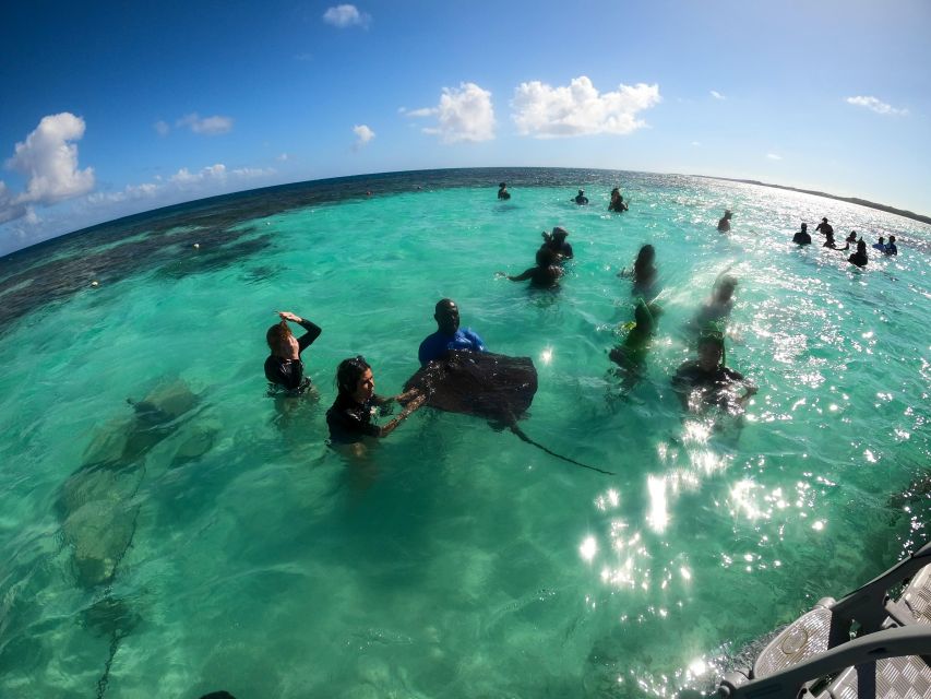 Snorkeling Activity in Stingray City Antigua - Transfer Inc. - Inclusions