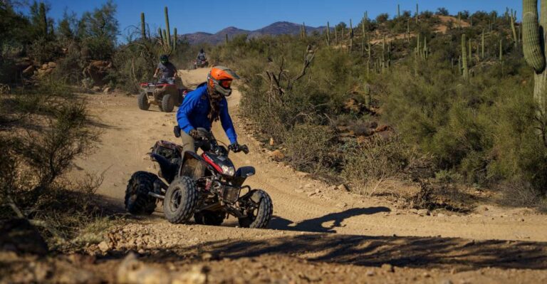 Sonoran Desert: Beginner ATV Training & Desert Tour Combo
