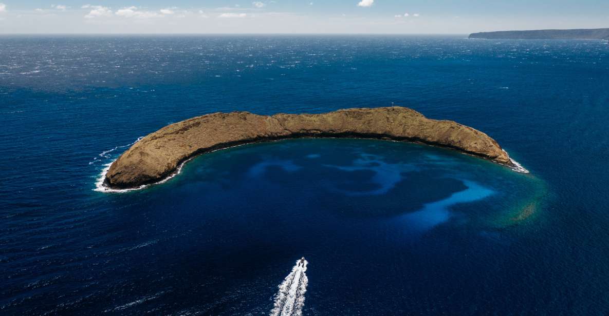 South Maui: Molokini Volcanic Crater Snorkeling Cruise - Activity Details