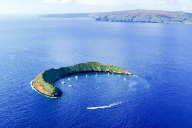 South Maui: Snorkel at Molokini and Turtle Town With Meals