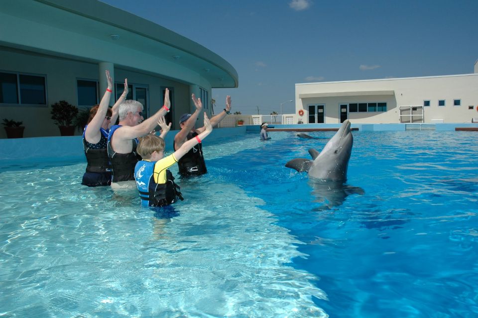 St. Augustine: Marineland Dolphin Encounter - Activity Details