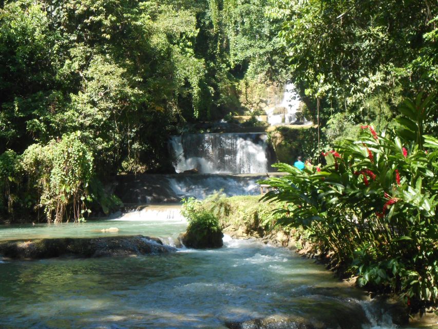 St Elizabeth: River Safari and Y.S. Falls With Lunch - Tour Details