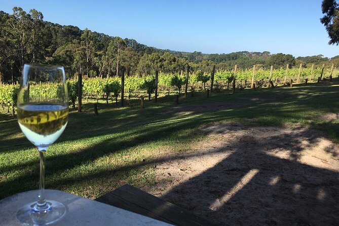 Swan Valley Wine Discovery: Private Tour From Perth - Tour Overview