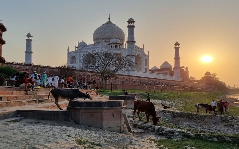 Taj Mahal Experience Guided Tour With Lunch at 5-Star Hotel - Tour Price and Duration