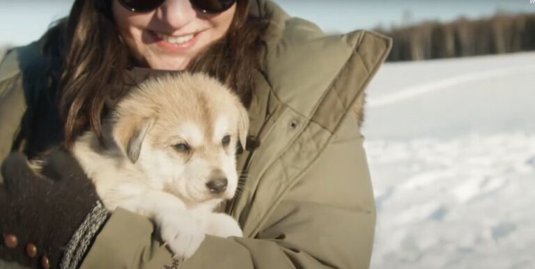 Talkeetna: Alaskan Winter Dog Sledding Experience