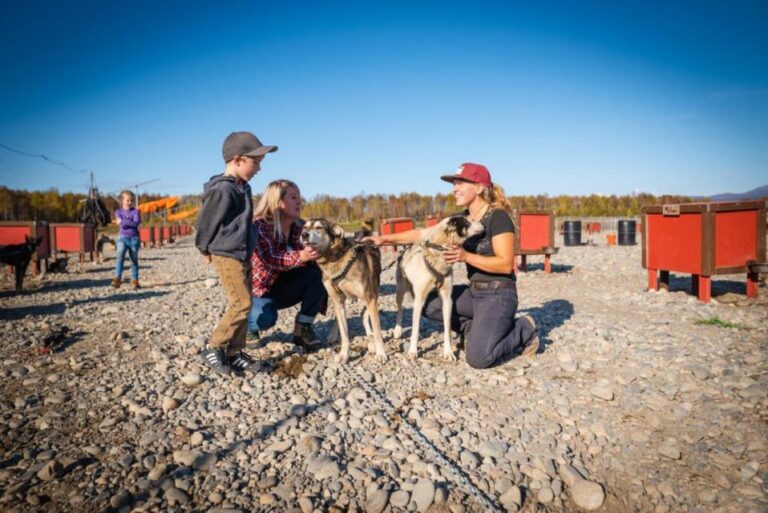 Talkeetna: Mushing Experience With Iditarod Champion Dogs