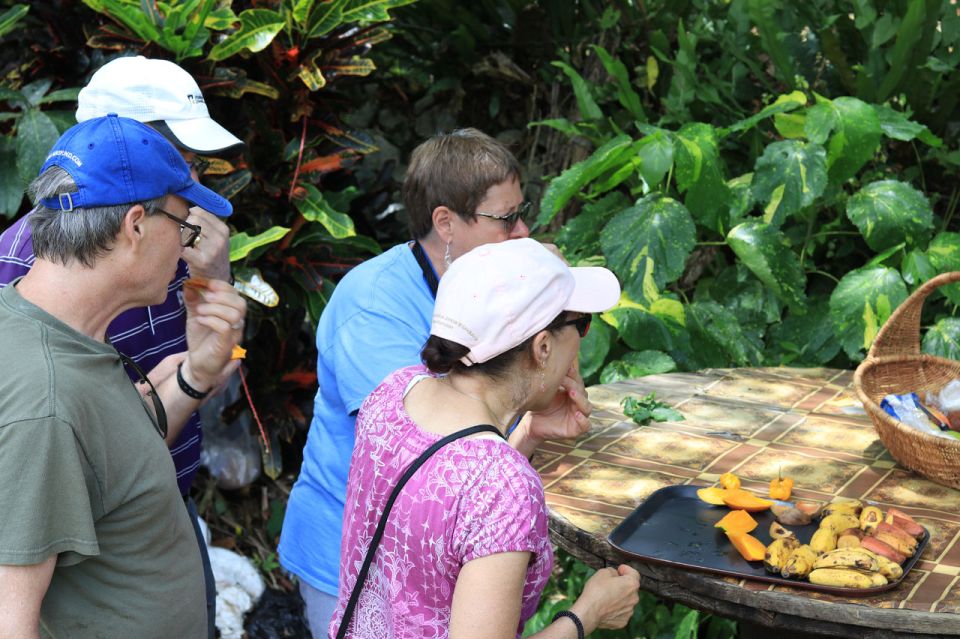 Taste of Jamaica Farm & Food Tour