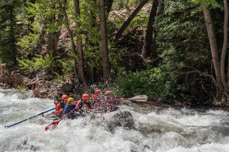 Telluride Whitewater Rafting - Morning Half Day - Trip Overview