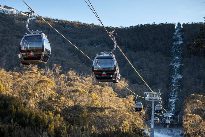 Thredbo & Perisher Bus Trip From Canberra - Booking Information