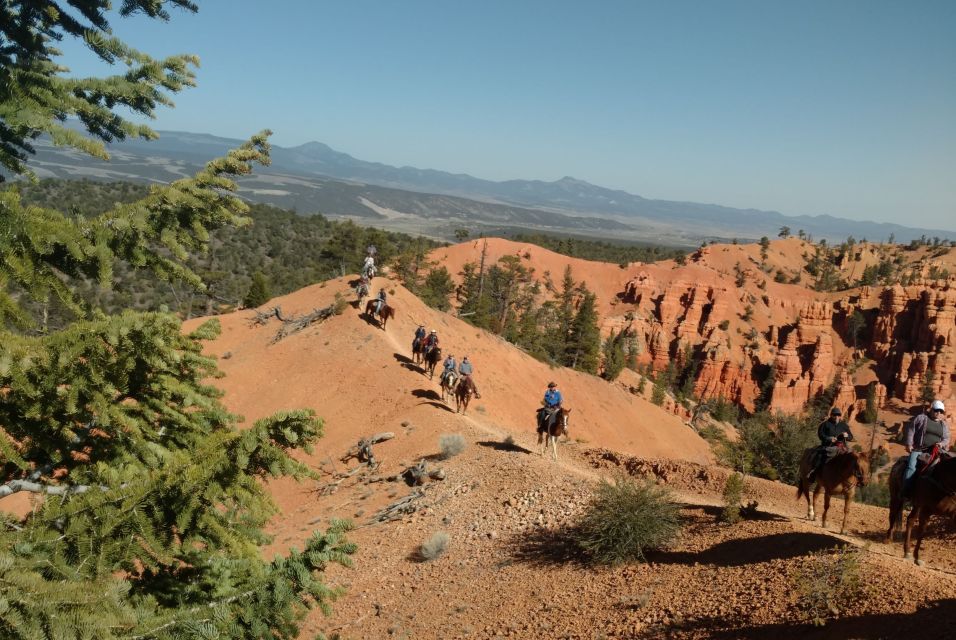 Thunder Mountain Trail: Scenic Horseback Ride