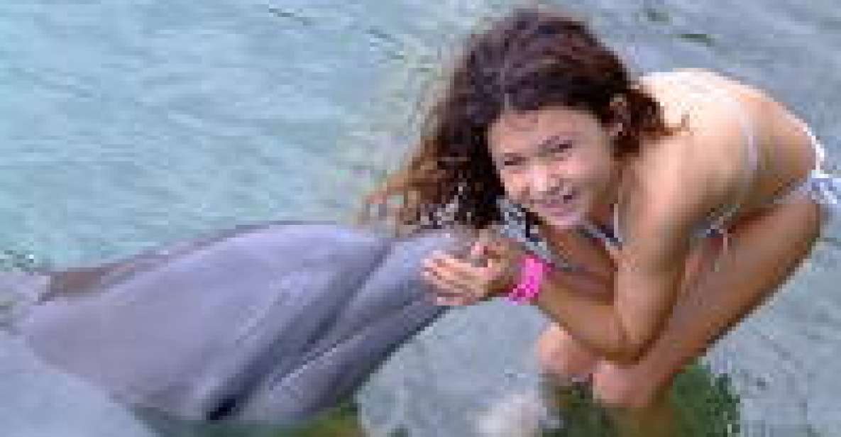 Touch Encounter With the Dolphins at Dolphin Cove Negril - Ticket Details