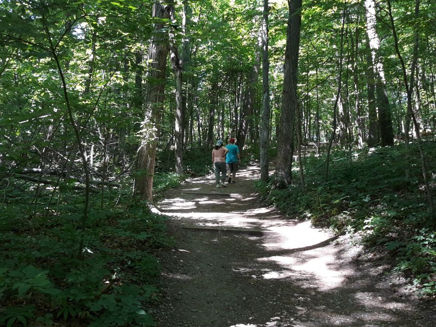 Traverse City: 6-Hour Tour of Sleeping Bear Dunes