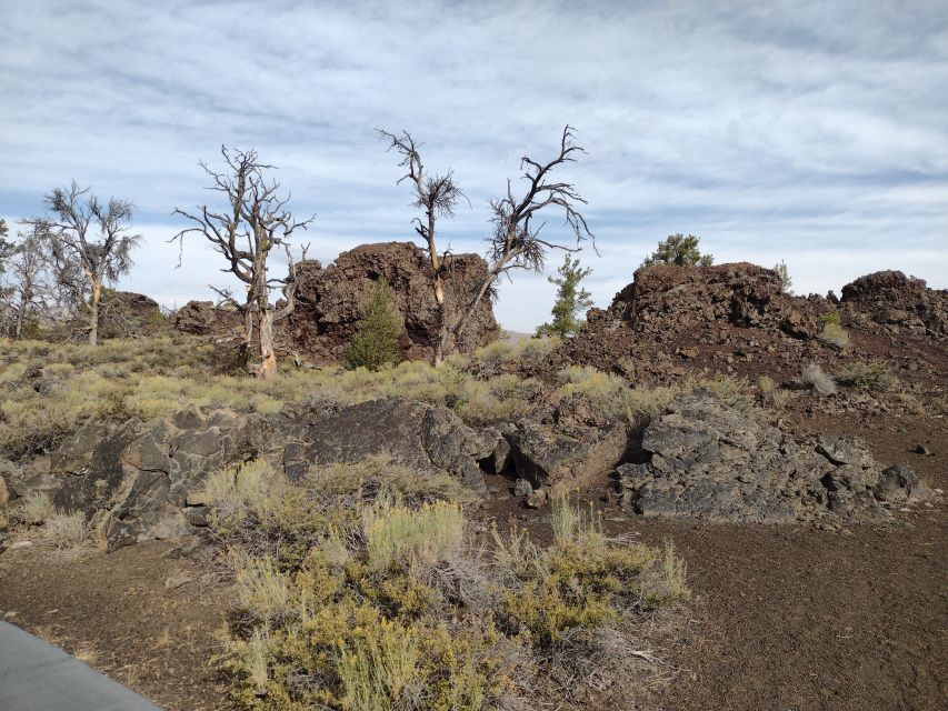Twin Falls: Craters of the Moon Full-Day Tour With Lunch - Tour Details and Logistics