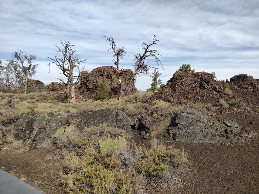 Twin Falls: Craters of the Moon Full-Day Tour With Lunch