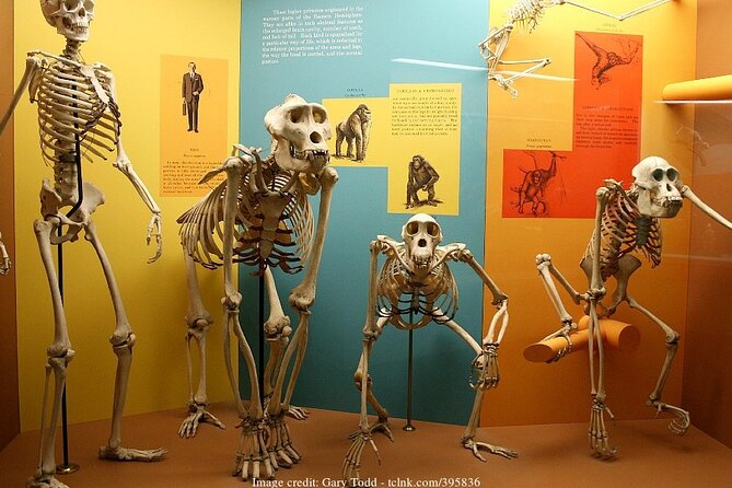Two Smithsonian Museums: American & Natural History Private Tour - Tour Overview