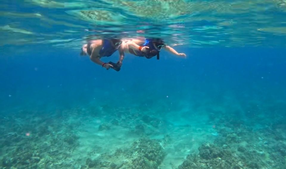 Waikiki: Monk Seal Bay Dolphin and Turtle Jet Snorkel Tour - Tour Details