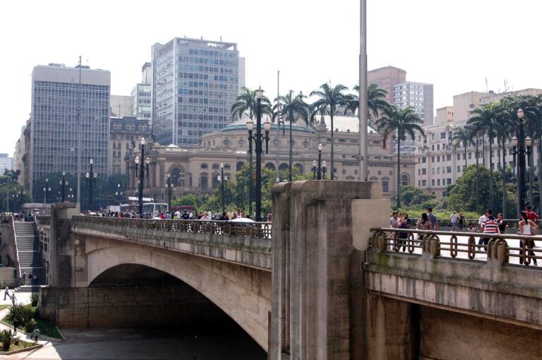 Welcome to São Paulo: Private Walking Tour With a Local