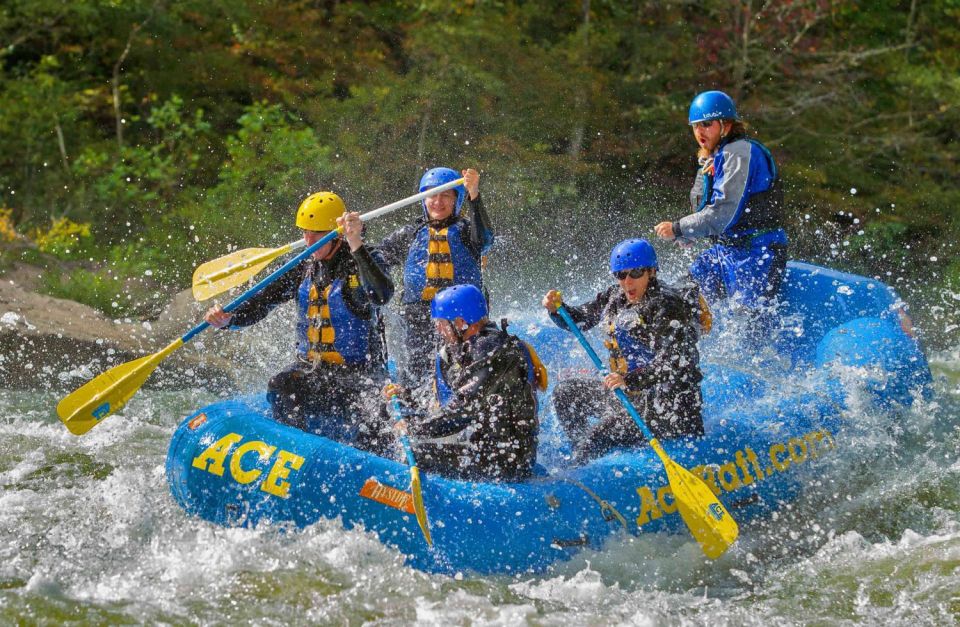 Whitewater Rafting on the Fall Lower Gauley - Friday - Enjoy 10-Mile Whitewater Adventure