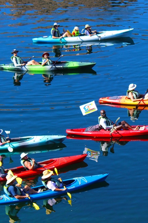 Willow Beach: Black Canyon Kayaking Half Day Tour-No Shuttle - Tour Overview