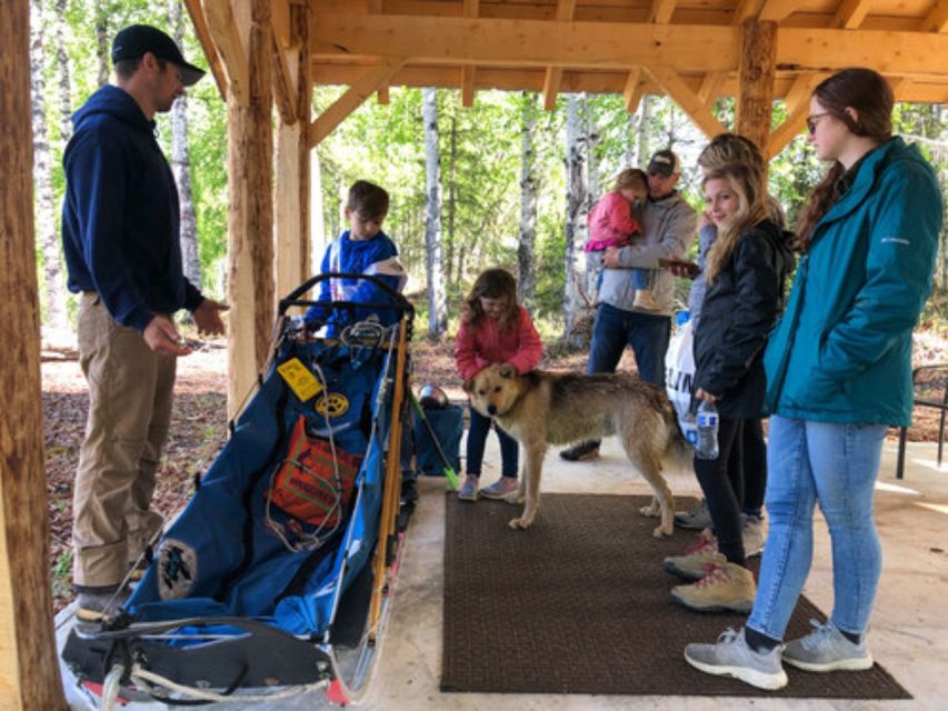 Willow: Summer Dog Sledding Ride in Alaska - Location and Provider Details