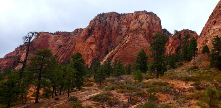 Zion National Park – Kolob Terrace: 1/2 Day Sightseeing Tour