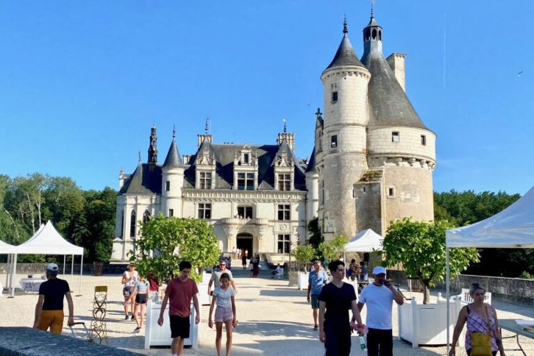 2 Days VIP Individually 6 Loire Castles From Paris Mercedes