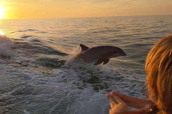 2 Hour Private Dolphin and Sightseeing Tour in Shell Island - Key Points