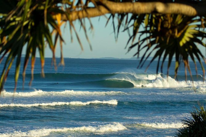 10-Day Surf Adventure From Sydney to Brisbane Including Coffs Harbour, Byron Bay and Gold Coast - Day 2: Arrival in Coffs Harbour