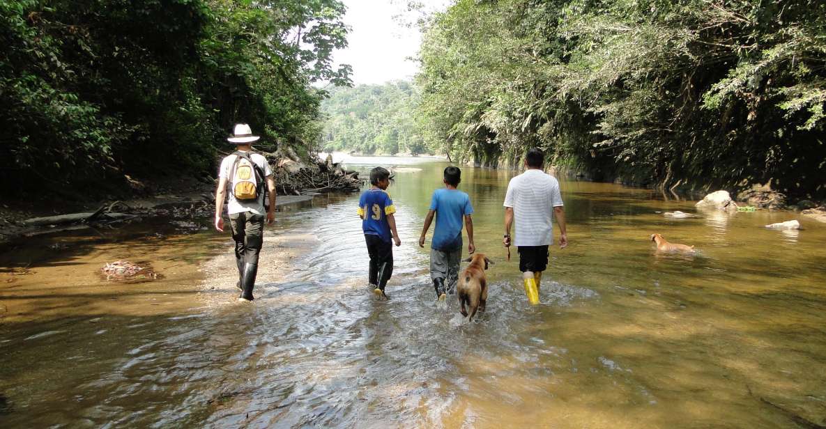 3 Day Jungle Tour Expedition Amazonia Ecuador All Included - Detailed Itinerary for 3-Day Expedition