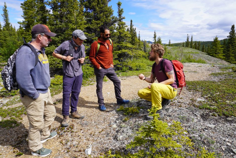 4 Hour Off-Trail Wilderness Wonders Tour in Denali - Wilderness Immersion Experience