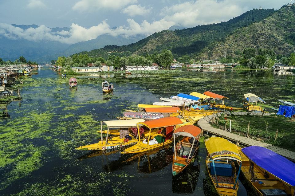 6 Days Kashmir Tour With Gulmarg, Pahalgam and Sonamarg - Inclusions and Exclusions