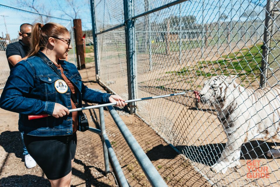 Alpine: Lions Tigers & Bears Sanctuary Visit and Feeding - Activity Highlights