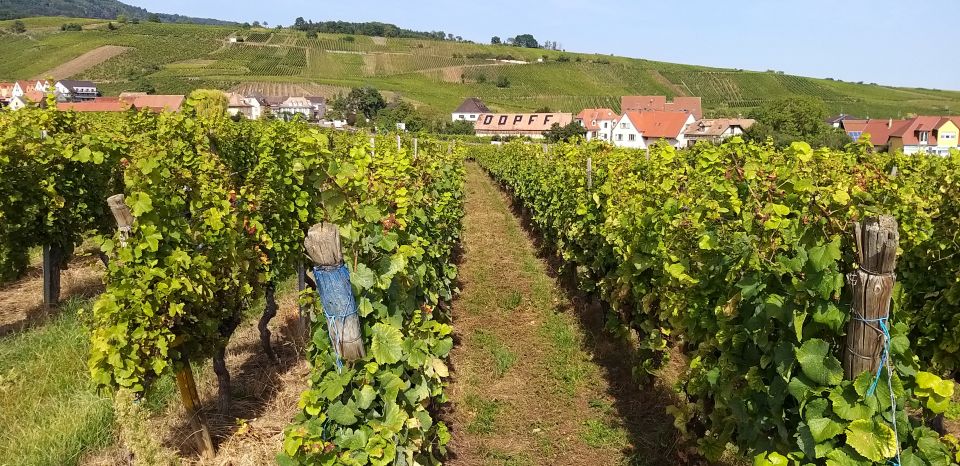 Alsace: Private Wine Tour - Booking Information