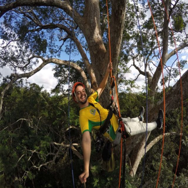 Amazon Jungle 3-Hour Tree Climbing Activity - Experience Highlights