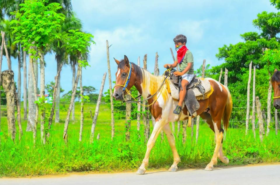 ATV Ride Cenote, Chocolate, Coffee Tasting & Horse Back Ride - Activity Description