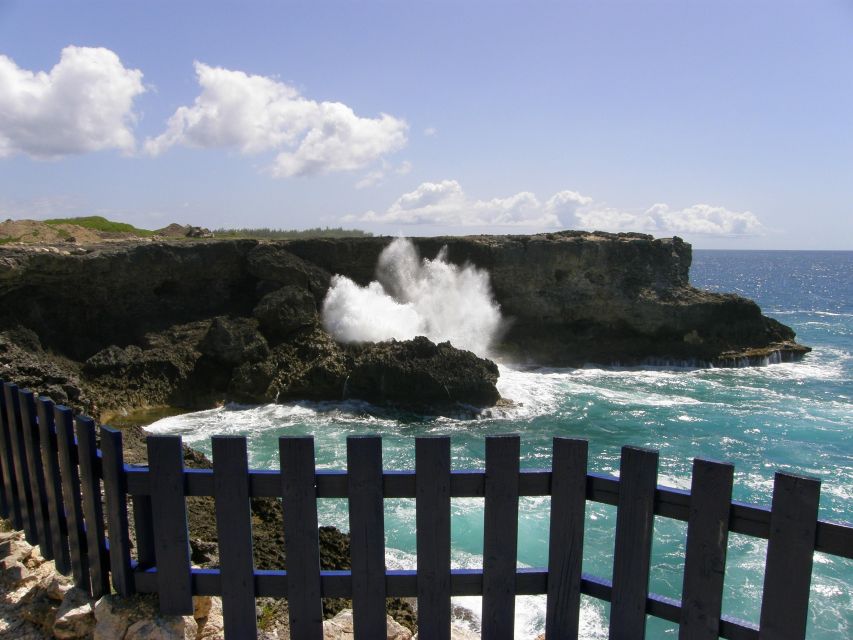 Barbados: Coastal Sightseeing Tour With Lunch and Transfers - Tour Experience