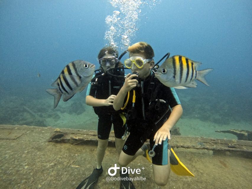 Bayahibe - PADI Advanced Course Diving - Go Dive - Booking Information